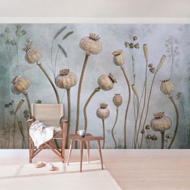 Mural de parede Dried Poppy Flower