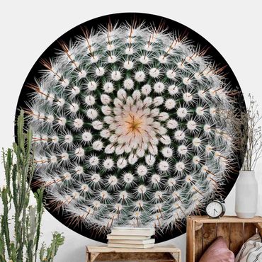 Papel de parede redondo Cactus Flower