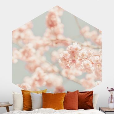 Papel de parede hexagonal Cherry Blossom Glow