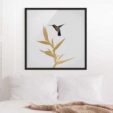 Quadros com moldura Hummingbird And Tropical Golden Blossom II