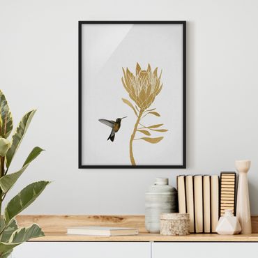 Quadros com moldura Hummingbird And Tropical Golden Blossom