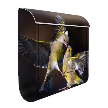 Caixas de correio Kissing Hummingbirds