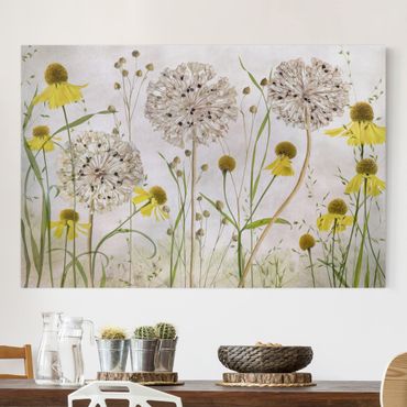 Telas decorativas Allium And Helenium Illustration