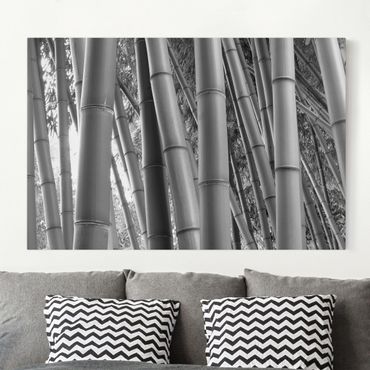 Telas decorativas Bamboo