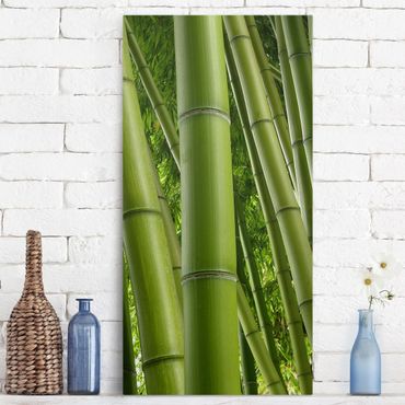 Telas decorativas Bamboo Trees
