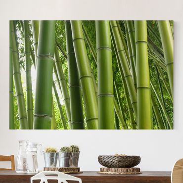Telas decorativas Bamboo Trees