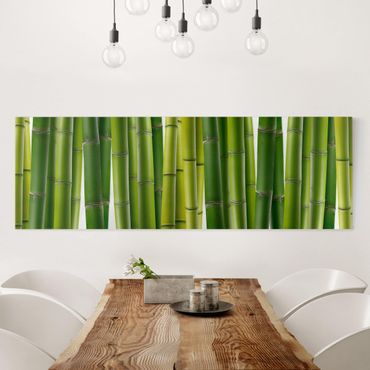 Telas decorativas Bamboo Plants