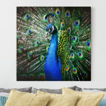 Telas decorativas Noble Peacock