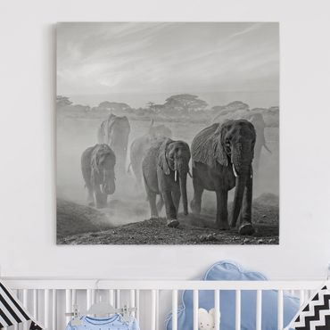 Telas decorativas Herd Of Elephants