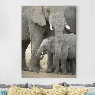 Telas decorativas Elephant Love