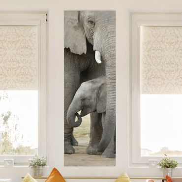 Telas decorativas Elephant Love