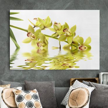 Telas decorativas Elegant Orchid Waters