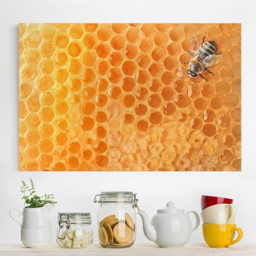 Telas decorativas Honey Bee