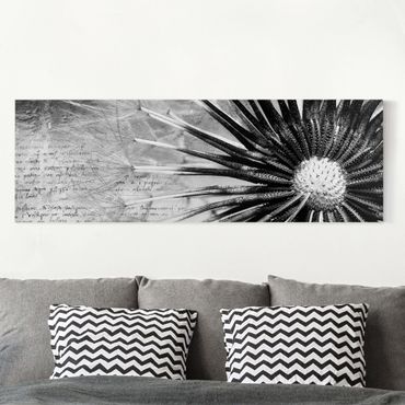 Telas decorativas Dandelion Black & White
