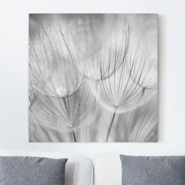 Telas decorativas Dandelions Macro Shot In Black And White
