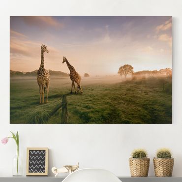 Telas decorativas Surreal Giraffes