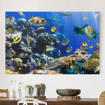 Telas decorativas Underwater Reef