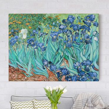 Telas decorativas Vincent Van Gogh - Iris
