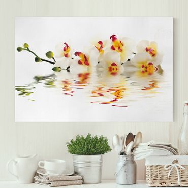 Telas decorativas Vivid Orchid Waters