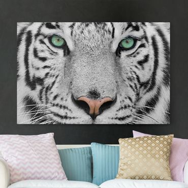 Telas decorativas White Tiger