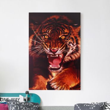 Telas decorativas Wild Tiger
