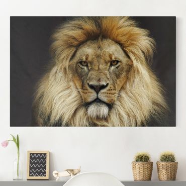 Telas decorativas Wisdom Of Lion