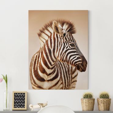 Telas decorativas Zebra Baby Portrait