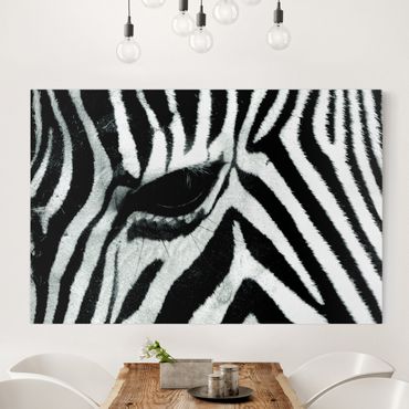 Telas decorativas Zebra Crossing