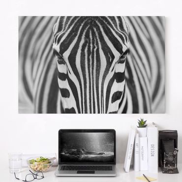 Telas decorativas Zebra Look