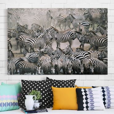 Telas decorativas Zebra Herd