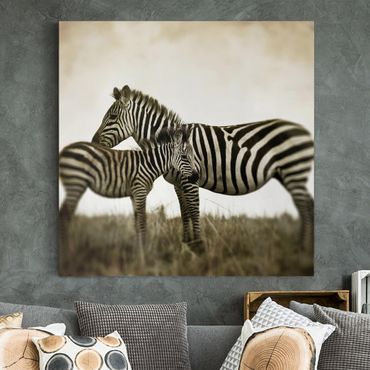 Telas decorativas Zebra Couple