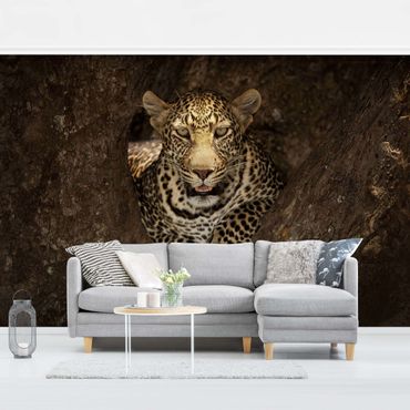 Mural de parede Leopard Resting On A Tree