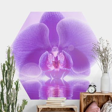 Papel de parede hexagonal Purple Orchid On Water