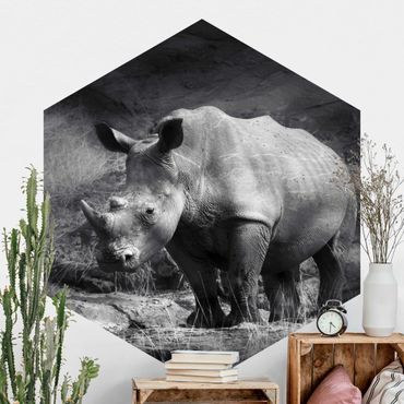 Papel de parede hexagonal Lonesome Rhinoceros