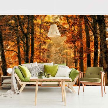 Mural de parede Enchanted Forest In Autumn