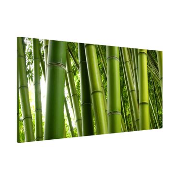 Quadros magnéticos Bamboo Trees