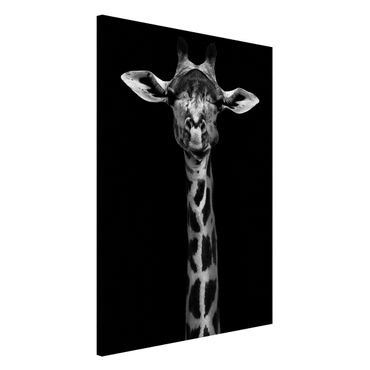 Quadros magnéticos Dark Giraffe Portrait