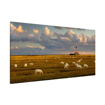 Quadros magnéticos North Sea Lighthouse With Flock Of Sheep