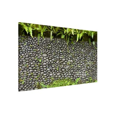 Quadros magnéticos Stone Wall With Plants