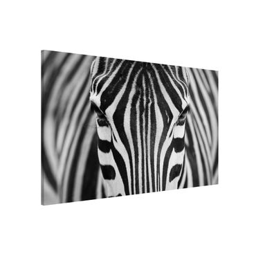 Quadros magnéticos Zebra Look