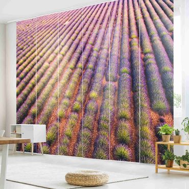 Painéis japoneses Picturesque Lavender Field