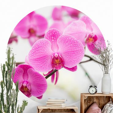 Papel de parede redondo Close-Up Orchid