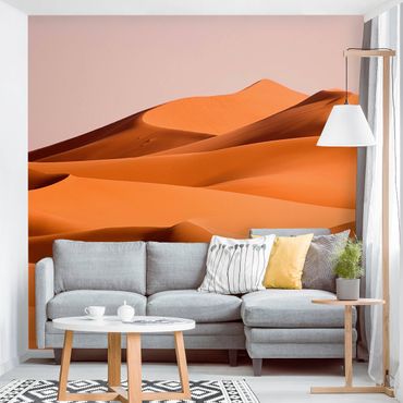 Mural de parede Namib Desert