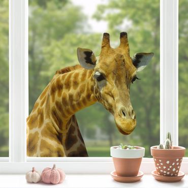Autocolantes para vidros Curious Giraffe