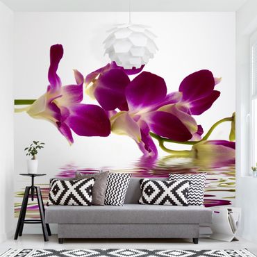 Mural de parede Pink Orchid Waters