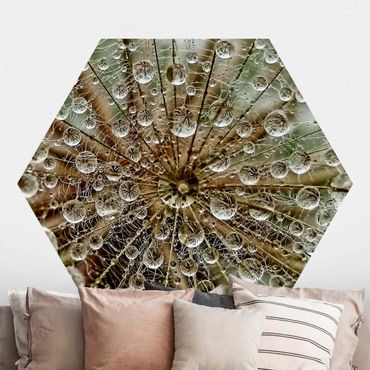 Papel de parede hexagonal Dandelion In Autumn