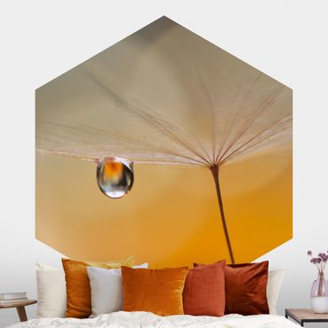 Papel de parede hexagonal Dandelion In Orange