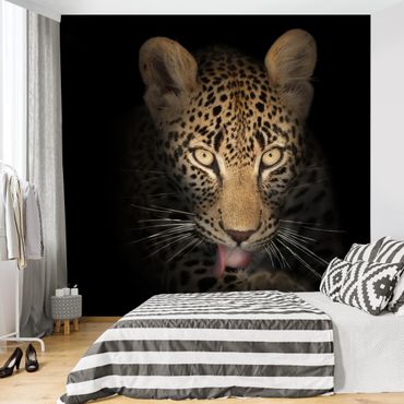 Mural de parede Resting Leopard