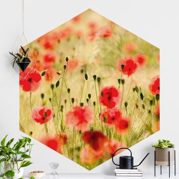 Papel de parede hexagonal Summer Poppies