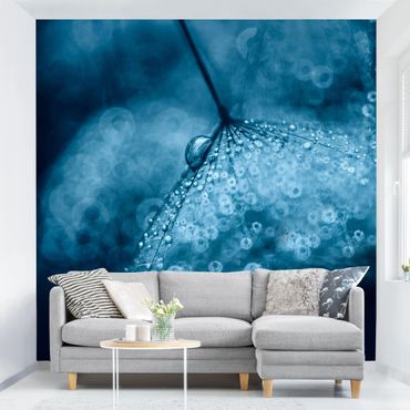 Mural de parede Blue Dandelion In The Rain